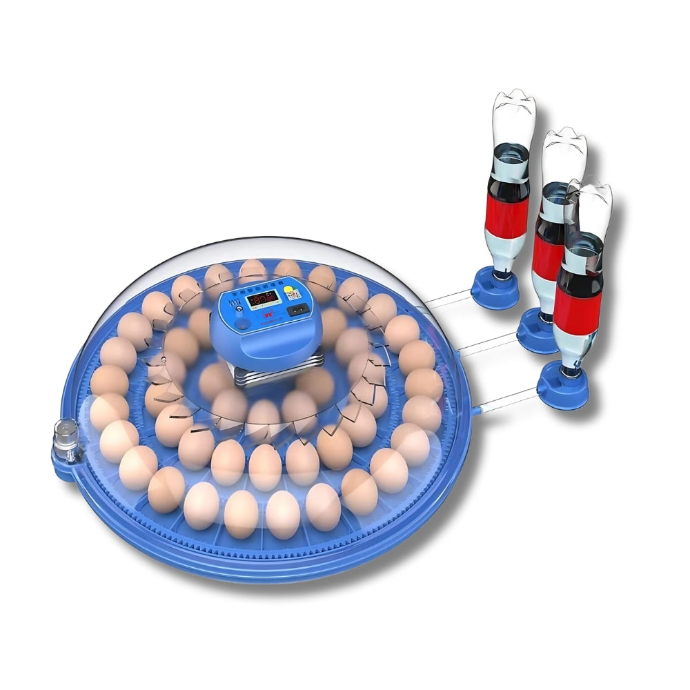 Incubator automat cu întoarcere automată – 62 sau 80 ouă