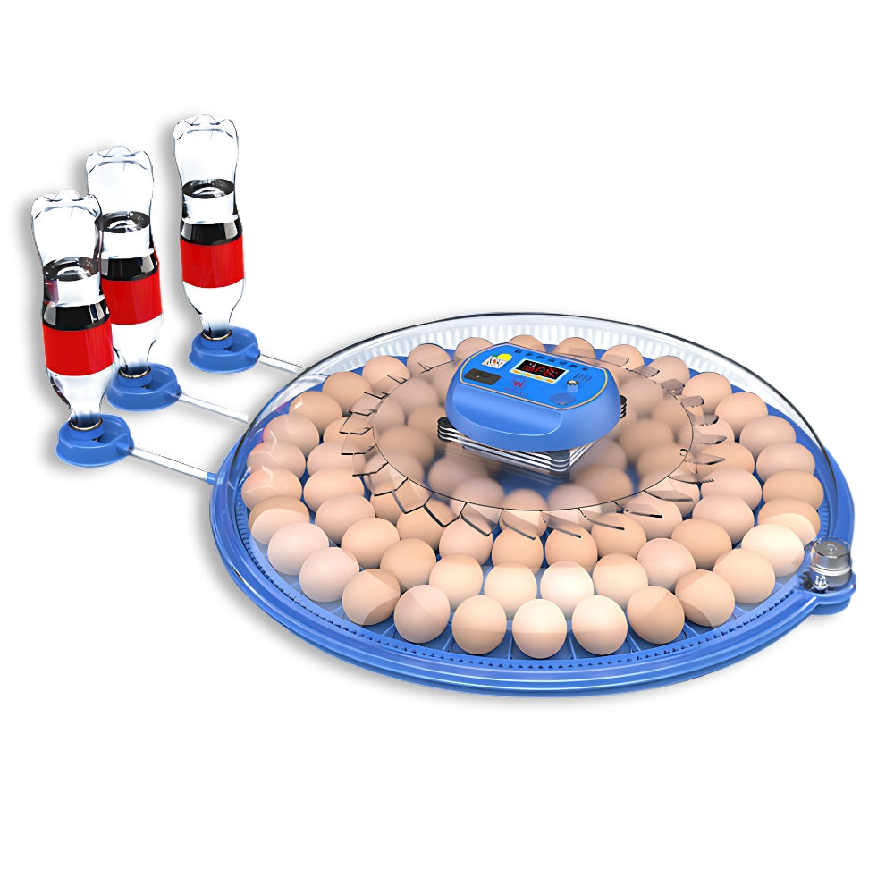 Incubator automat cu întoarcere automată – 62 sau 80 ouă