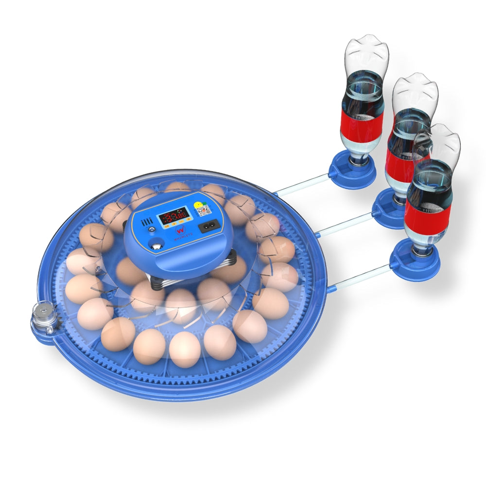 Incubator automat cu întoarcere automată – 62 sau 80 ouă